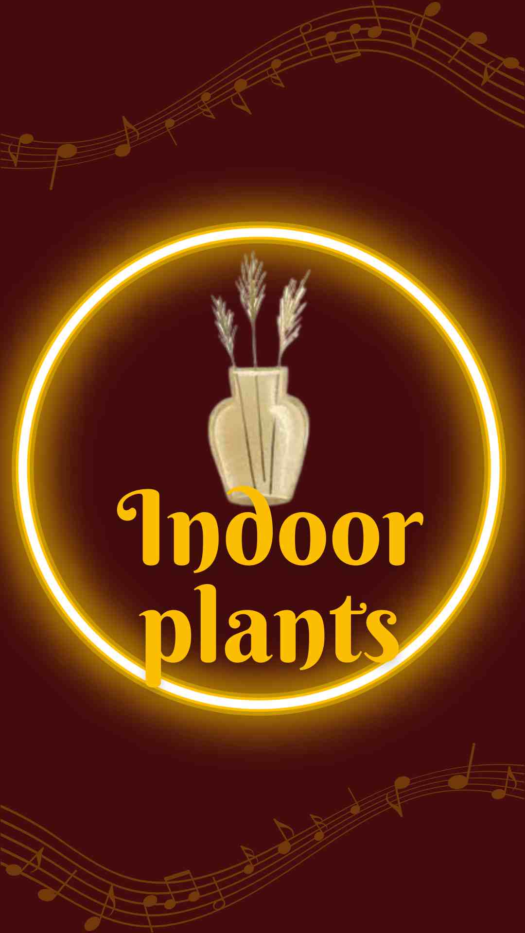 INDOOR PLANTS